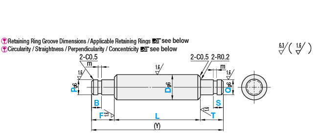 Rotary Shafts - Both Ends Stepped with Retaining Ring Groove:Related Image