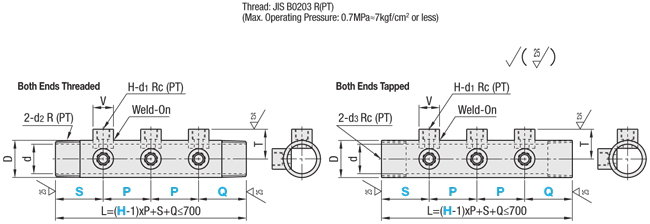 Piping Manifolds - Threaded / Tapped Sockets, Outlets 2 Rows 90Deg., 2 Inlets:Related Image