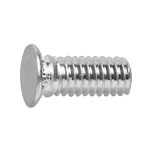 Fully Threaded Bolts & Studs - Press-Fit, Flat Tip