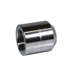 Screw-in Fitting for High Pressure PT BS/Boss Coupling