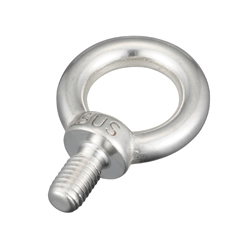 Stainless Steel Eye Bolt