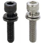 Socket Head Cap Screws - with Standard Washer Set