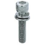 Screws for Aluminum Extrusions - Hex Socket Head Cap, with Washers
