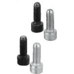 Clamping Bolts