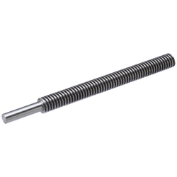 Lead Screws - One End Stepped Type