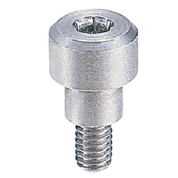 Fulcrum Pins - Hex Socket CBDGR12-10