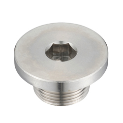 Screw Plugs - Hex Socket Flange Head with Oil Seal Ring, SFM/SFMS