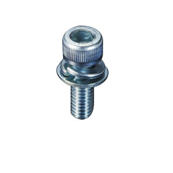 Bolt with Washer-Incorporating Hexagonal Socket CSWS-06-18-P50