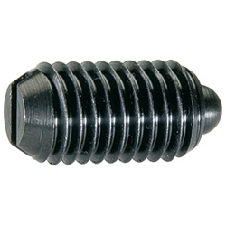 Spring Plungers, with pin and slot 22050.0320