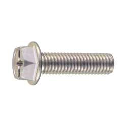 Hex Head Combination Phillips/Slotted Screw - Flanged
