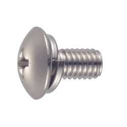 Truss Head Screw with Spring Washer - Steel, M4 - M6, Phillips