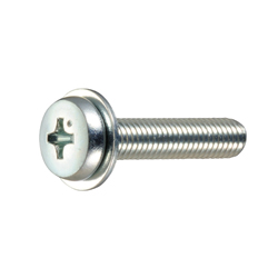 Binding Head Screw with Flat Washer - Phillips