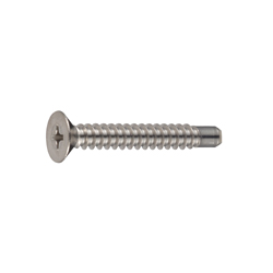 Self Tapping Screws - Disc Head, Phillips Drive, Cross Recessed, Solid Flanged End CSPCSSG5-SUSTHW-TP4-20