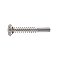 Self Tapping Screws - Disc Head, Phillips Drive, Cross Recessed, Solid Flanged End, BRP Shape
