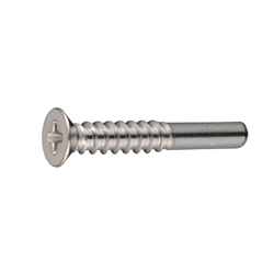 Self Tapping Screws - Small Disc Head, Phillips Drive, Type 2, BRP Shape