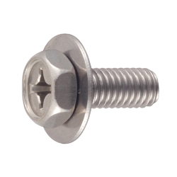 Hex Head Bolt with Flat Washer - Stainless Steel, M6, Phillips