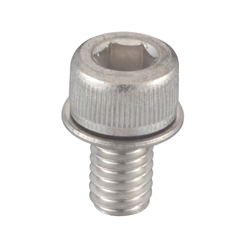 Hex Socket Cap Screw with Small Flat Washer - Steel, Stainless Steel, M3 - M6