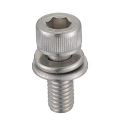Hex Socket Cap Screw with Spring and Flat Washer - M2 - M12