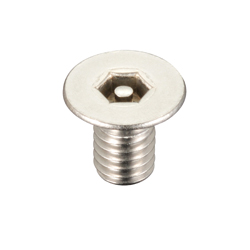 Tamper Resistant Set Screw with Flat Hex Hole HE020810