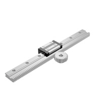 Linear Guide Rail with Rack Gear Set