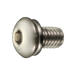 Hex Socket Button Head Screw with Spring Washer - Stainless Steel, M5