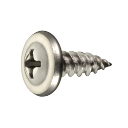 LGS Screw (Dry Wall) Modified Truss Head with Phillips Head