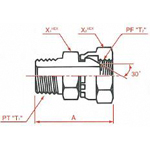 Adaptadores de manguera hidráulica - Conexión PT Conector macho hembra PF 30° MIS, serie 1006