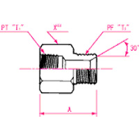 Adaptadores de manguera hidráulica - Conexión PT Conector hembra PF 30° MIS, serie 1007