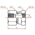 Adaptadores de manguera hidráulica - Conexión PT Conector giratorio hembra PF 30° MIS, serie 1008