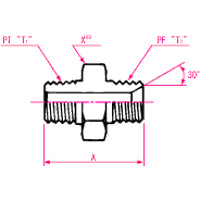 Adaptadores de manguera hidráulica - Conexión PT Conector macho hexagonal grande PF 30° MIS, serie 1009LH