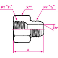 Adaptadores de manguera hidráulica - Conexión PT Conector hembra PF 30°FCS, serie 1015