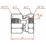 Adaptadores de manguera hidráulica - Conexión PT Conector giratorio hembra PF 30°FCS, serie 1018 1018-08