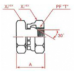 Adaptadores de manguera hidráulica - Conexión PT PF 30° MIS enchufe hembra, serie 1051
