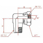 Adaptadores de manguera hidráulica - Conexión PT PF 30° MIS macho giratorio 90° codo, serie 1060