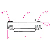 Adaptadores de manguera hidráulica - Conexión PT Conector largo macho PF 30°FCS, serie 9013 9013-06